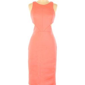 Hunter Bell Deep Dive Sheath Size 8 pink Dress